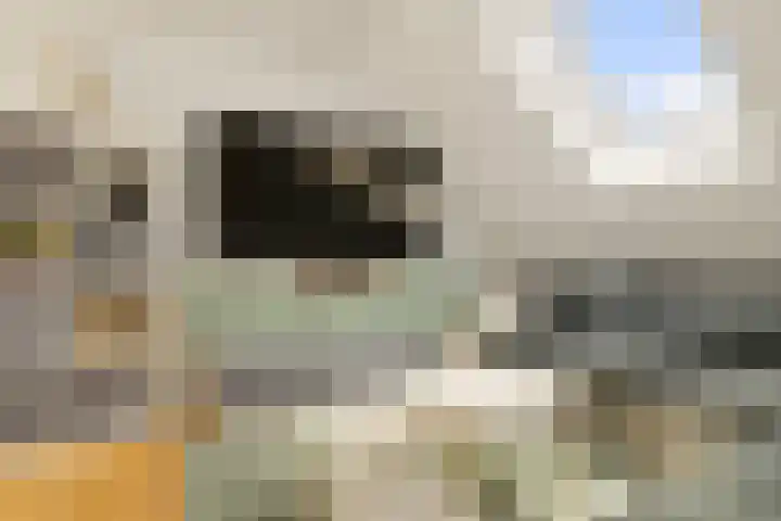 Rietschoot 262 Oostzaan thumbnail 39