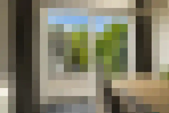 Rietschoot 262 Oostzaan thumbnail 4