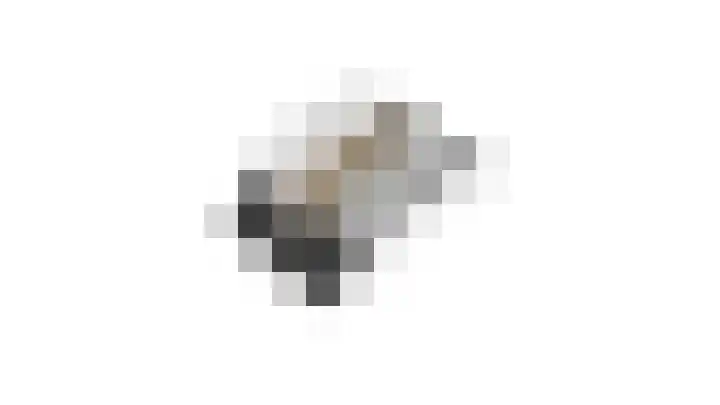 Rietschoot 262 Oostzaan thumbnail 51