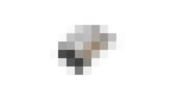 Rietschoot 262 Oostzaan thumbnail 52