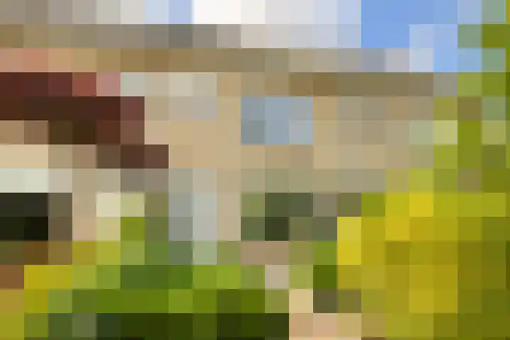 Rietschoot 262 Oostzaan thumbnail 57