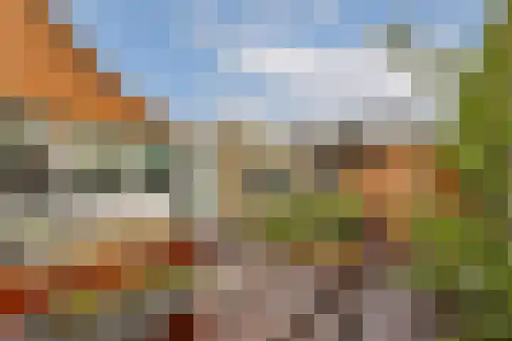 Rietschoot 274 Oostzaan thumbnail 16