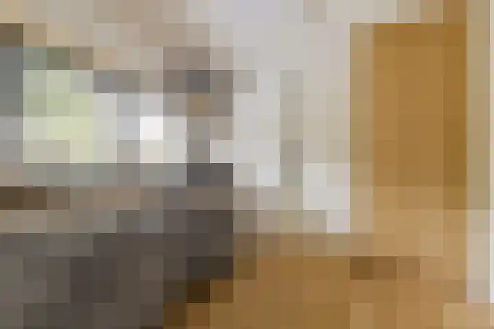 Rietschoot 274 Oostzaan thumbnail 21