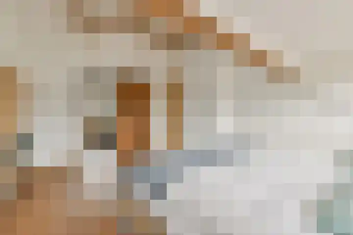 Rietschoot 274 Oostzaan thumbnail 32