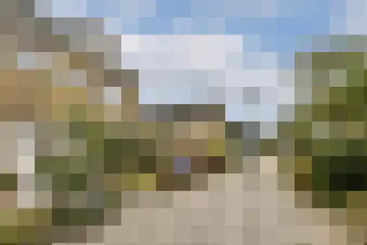 Rietschoot 274 Oostzaan thumbnail 4