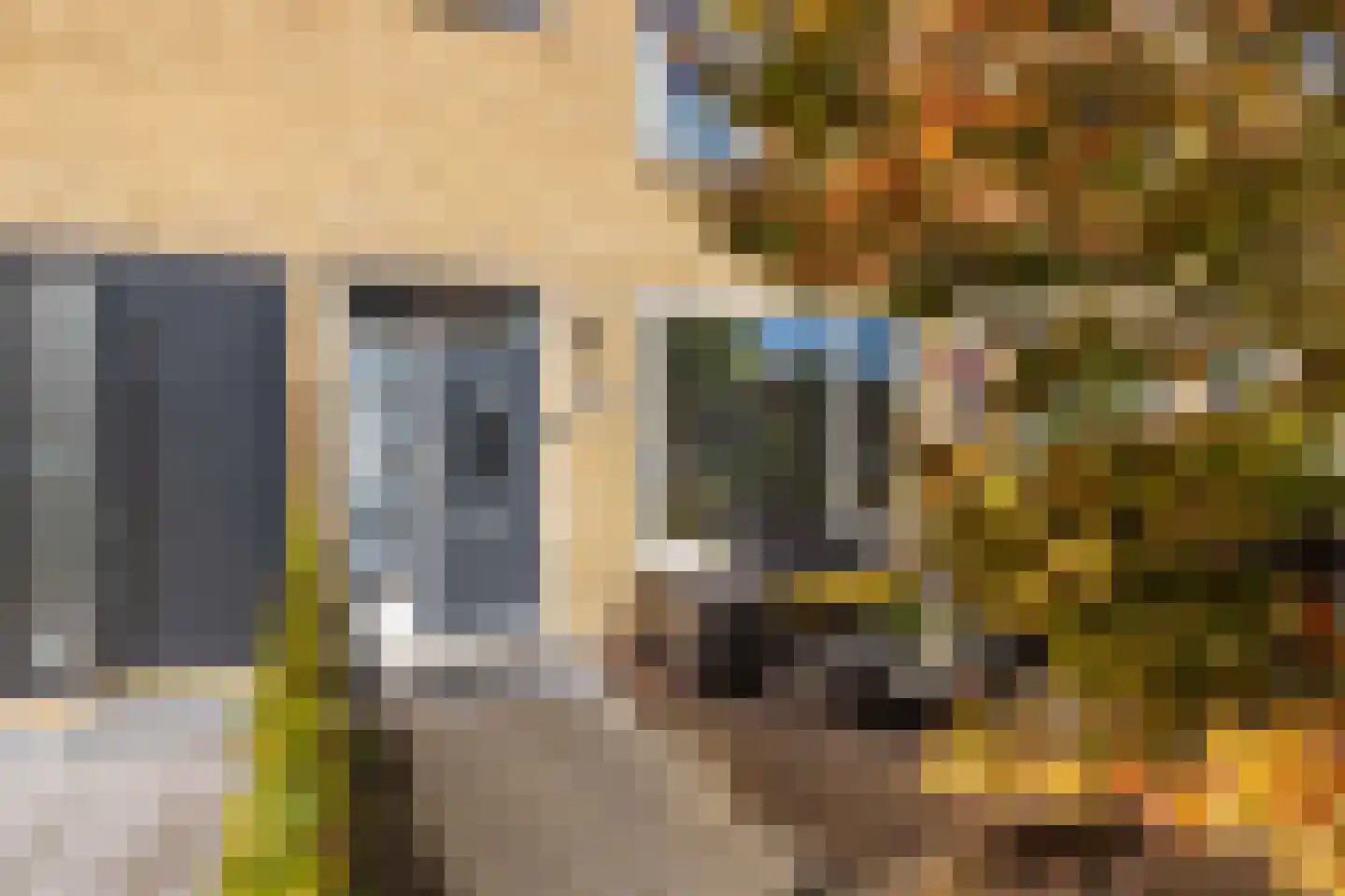 Rietschoot 318 Oostzaan thumbnail 13