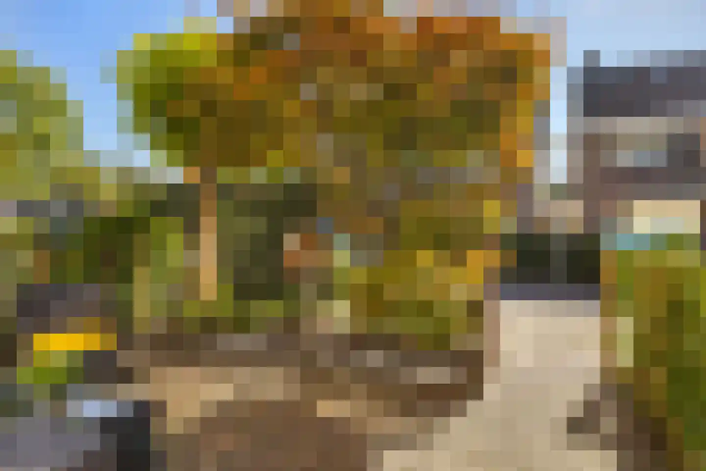 Rietschoot 318 Oostzaan thumbnail 14