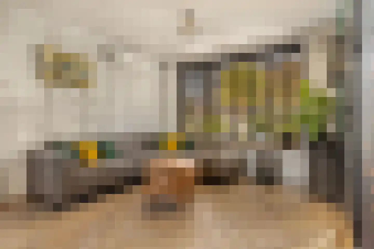 Rietschoot 318 Oostzaan thumbnail 20
