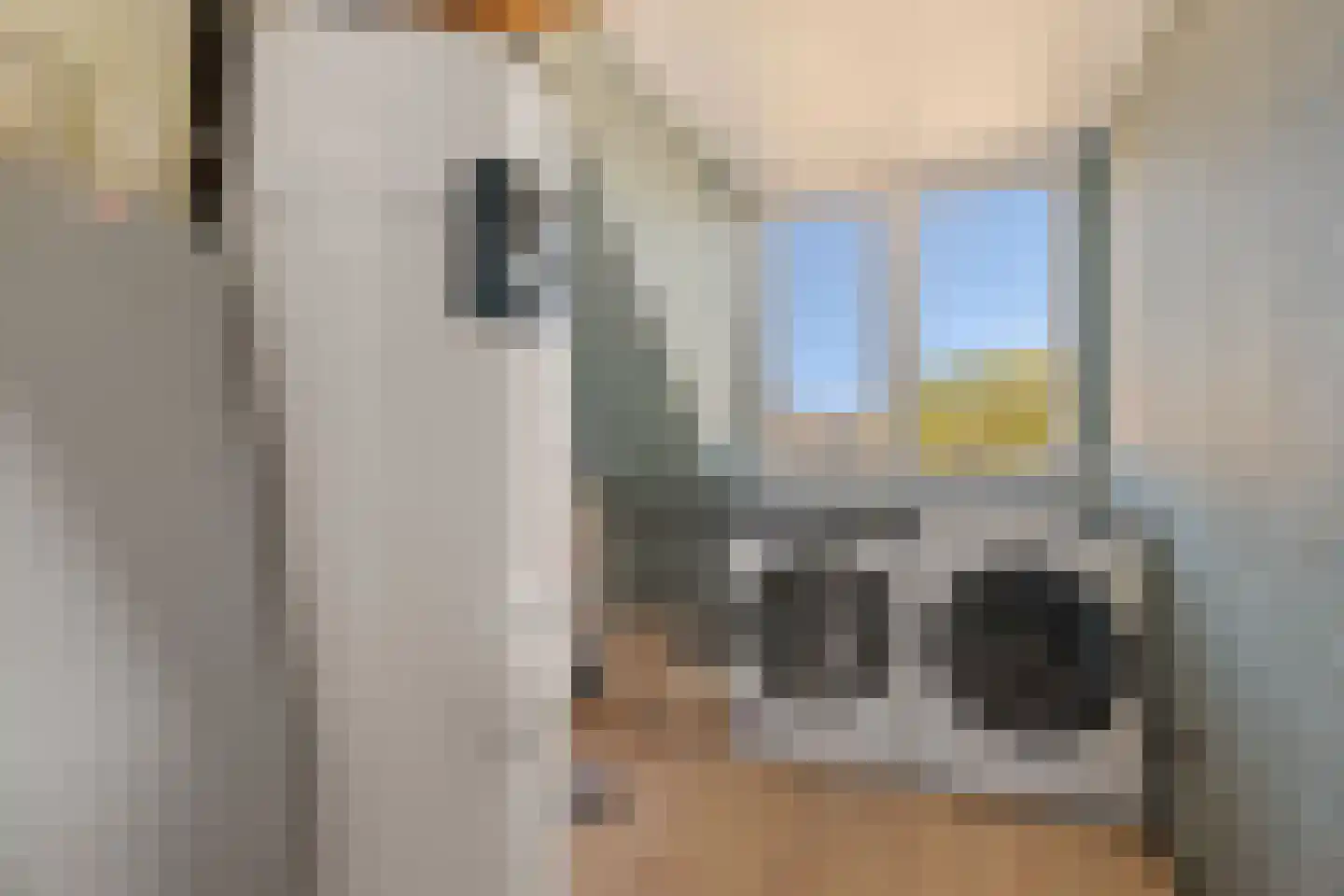 Rietschoot 318 Oostzaan thumbnail 61