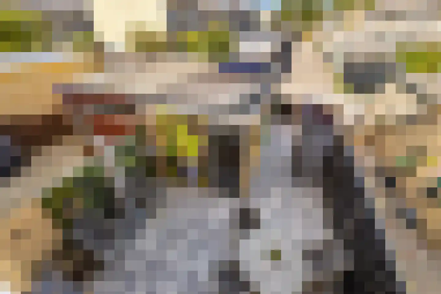 Rietschoot 318 Oostzaan thumbnail 69