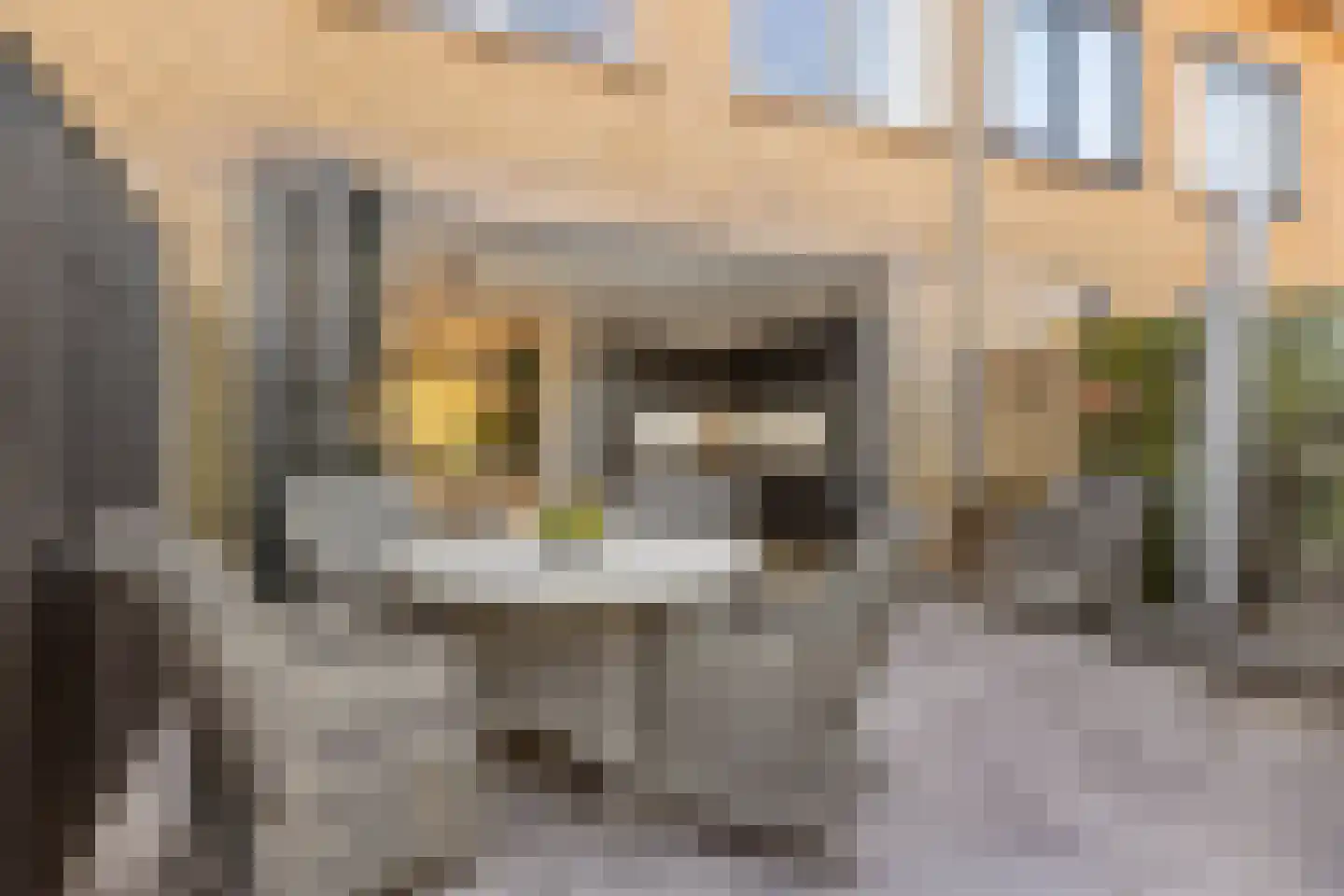 Rietschoot 318 Oostzaan thumbnail 70