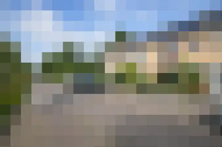 Rietschoot 336 Oostzaan thumbnail 28