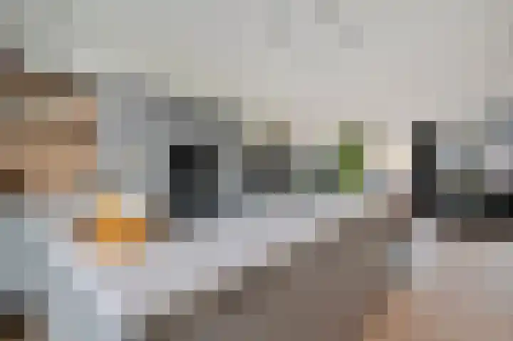 Rietschoot 336 Oostzaan thumbnail 9