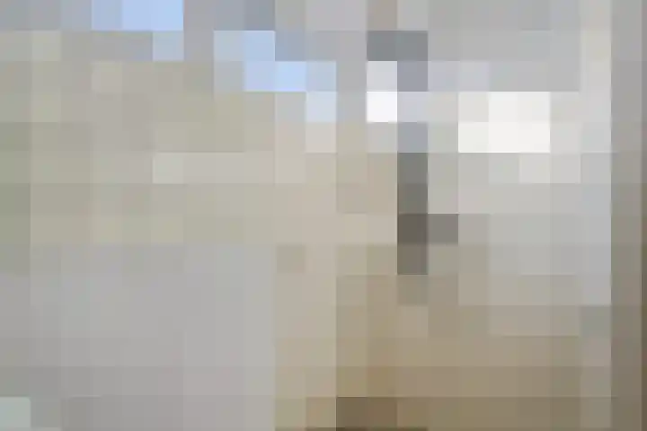 Rietschoot 38 Oostzaan thumbnail 21