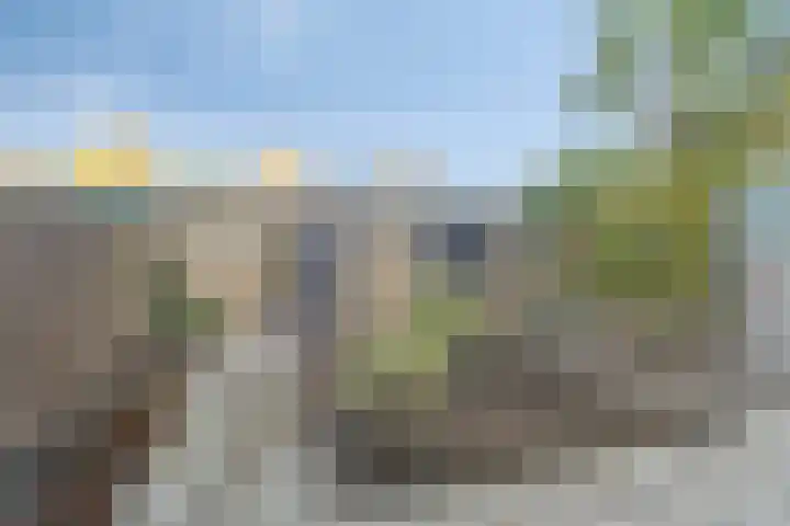 Rietschoot 38 Oostzaan thumbnail 26