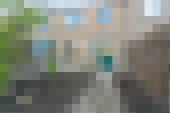 Rietschoot 38 Oostzaan thumbnail 27