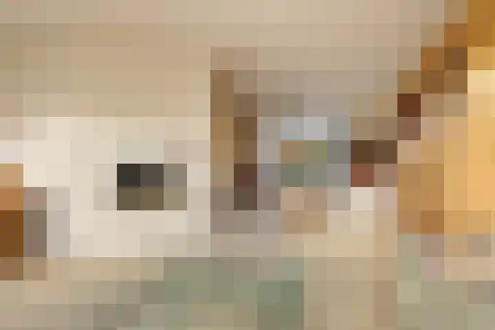Rietschoot 4 Oostzaan thumbnail 12