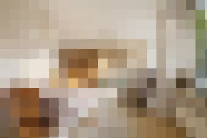 Rietschoot 4 Oostzaan thumbnail 14