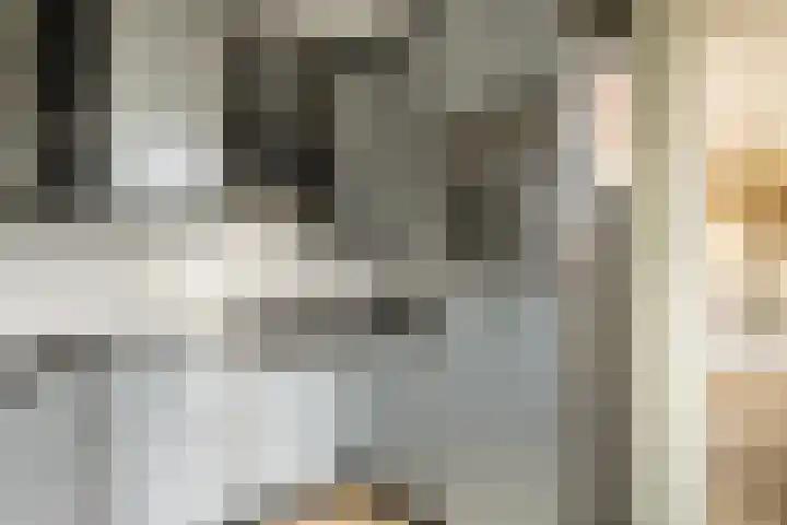 Rietschoot 4 Oostzaan thumbnail 15