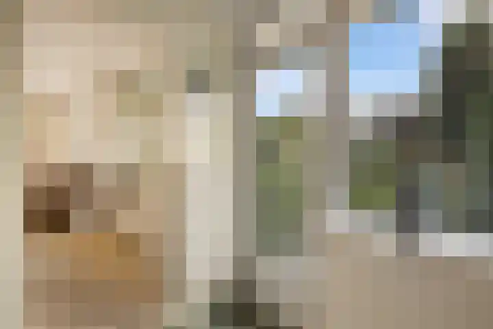 Rietschoot 4 Oostzaan thumbnail 18