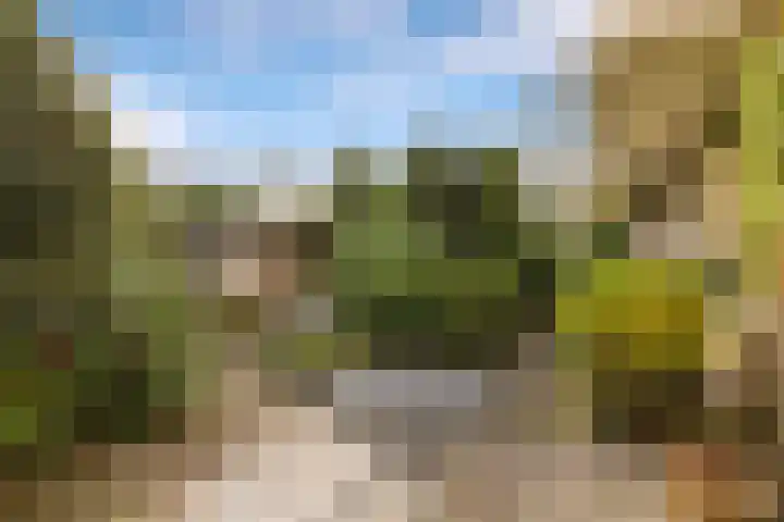 Rietschoot 4 Oostzaan thumbnail 19