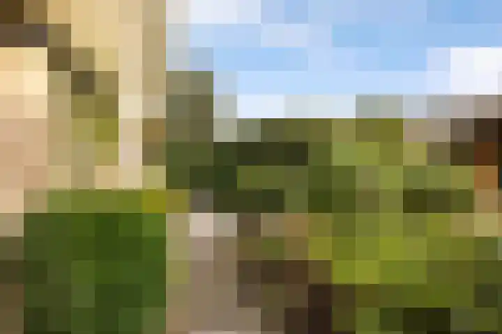 Rietschoot 4 Oostzaan thumbnail 20