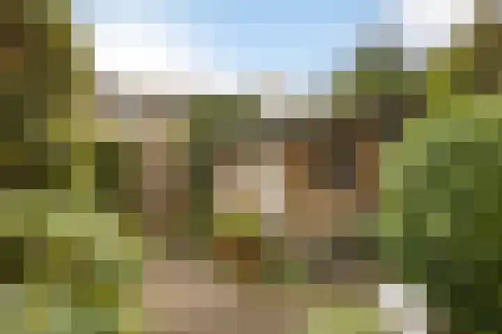 Rietschoot 4 Oostzaan thumbnail 21