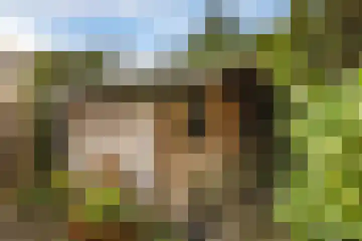 Rietschoot 4 Oostzaan thumbnail 22