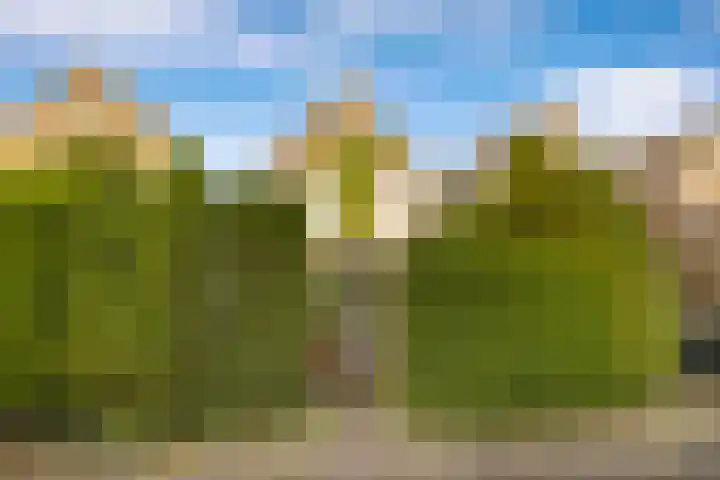 Rietschoot 4 Oostzaan thumbnail 23