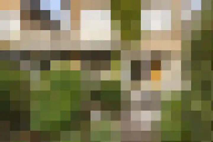 Rietschoot 4 Oostzaan thumbnail 24