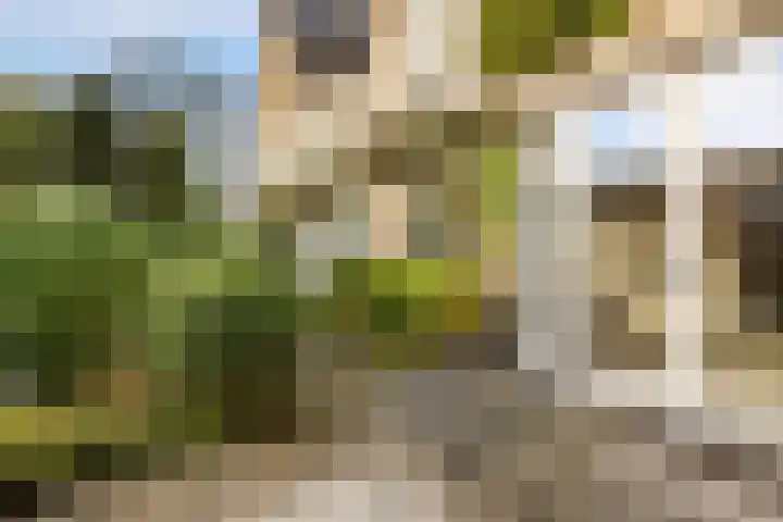 Rietschoot 4 Oostzaan thumbnail 25