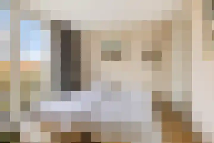 Rietschoot 4 Oostzaan thumbnail 33