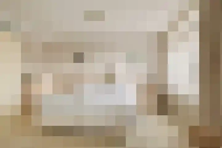 Rietschoot 4 Oostzaan thumbnail 38