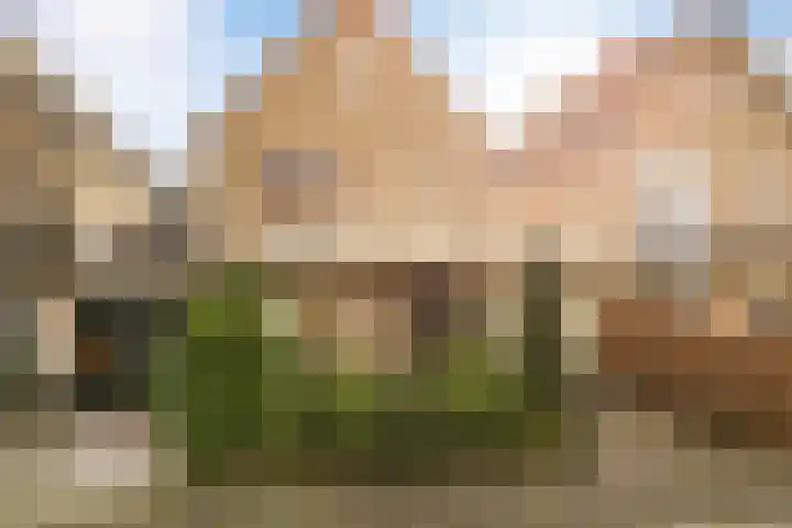 Rietschoot 4 Oostzaan thumbnail 4