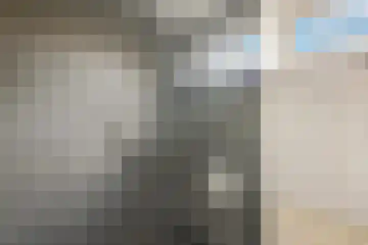 Rietschoot 4 Oostzaan thumbnail 40
