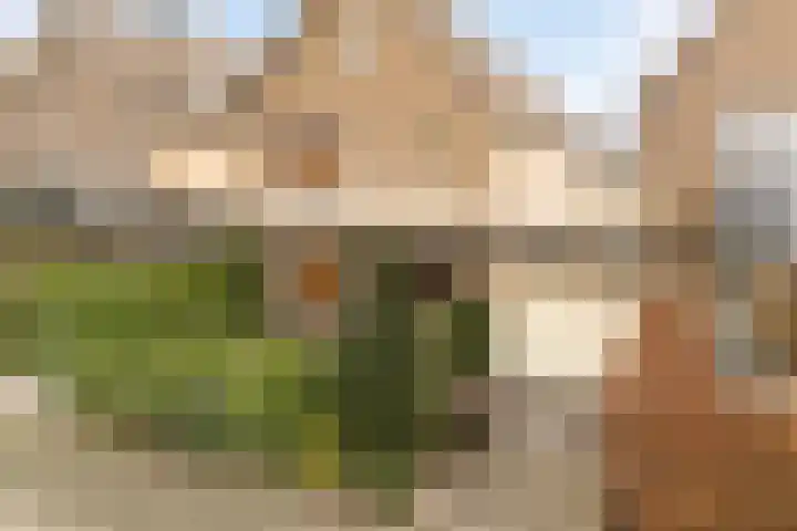 Rietschoot 4 Oostzaan thumbnail 49