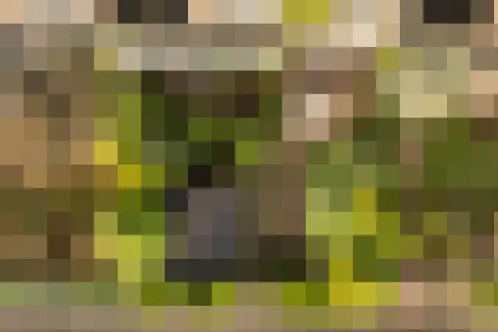 Rietschoot 4 Oostzaan thumbnail 5
