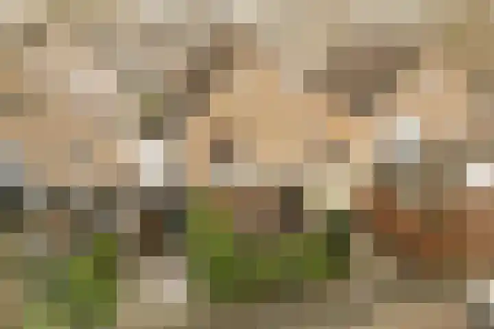 Rietschoot 4 Oostzaan thumbnail 50