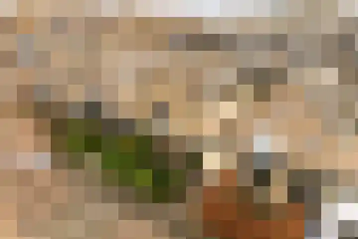 Rietschoot 4 Oostzaan thumbnail 51