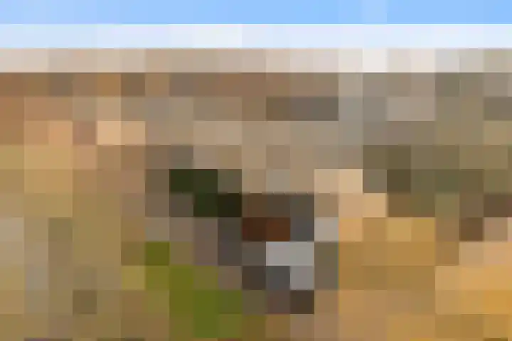 Rietschoot 4 Oostzaan thumbnail 52
