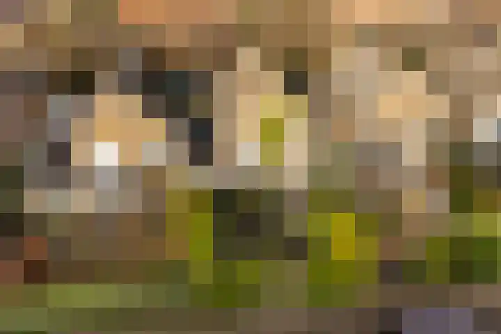 Rietschoot 4 Oostzaan thumbnail 53