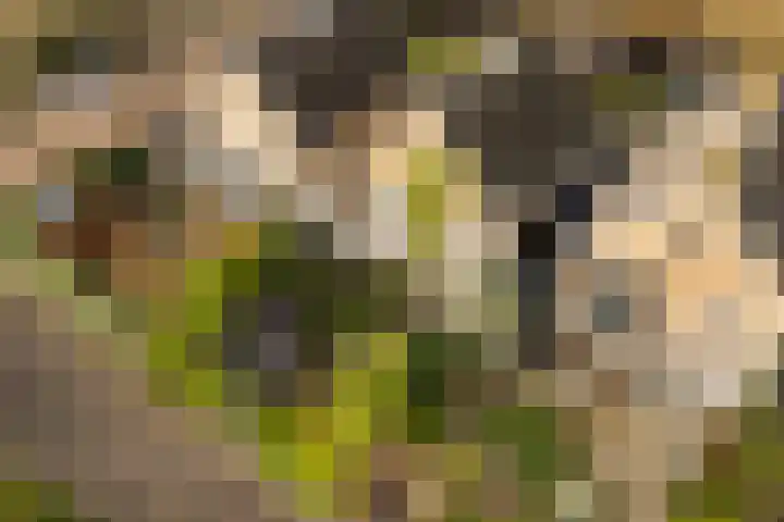 Rietschoot 4 Oostzaan thumbnail 54