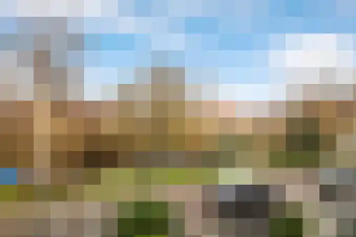 Rietschoot 4 Oostzaan thumbnail 55