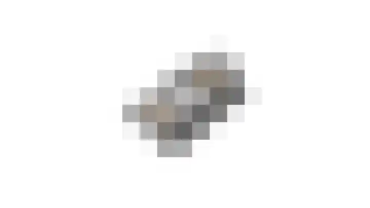 Rietschoot 4 Oostzaan thumbnail 64