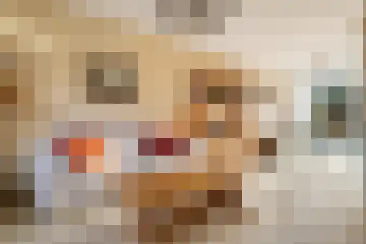 Rietschoot 4 Oostzaan thumbnail 7