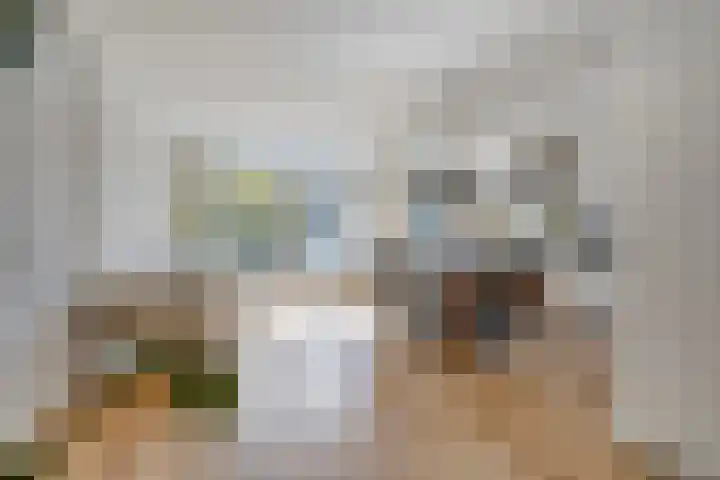 Rietschoot 64 Oostzaan thumbnail 11
