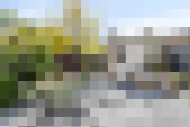 Rietschoot 64 Oostzaan thumbnail 14