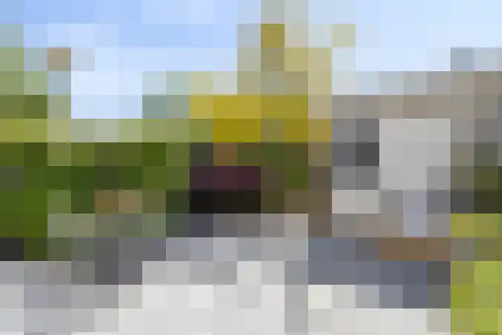 Rietschoot 64 Oostzaan thumbnail 15