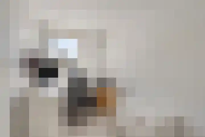 Rietschoot 64 Oostzaan thumbnail 21
