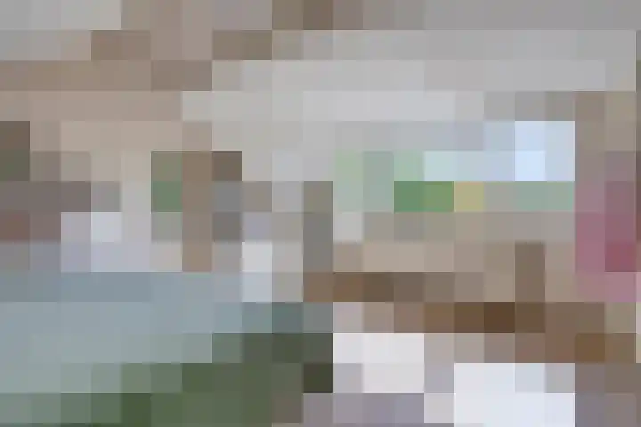 Rietschoot 64 Oostzaan thumbnail 24